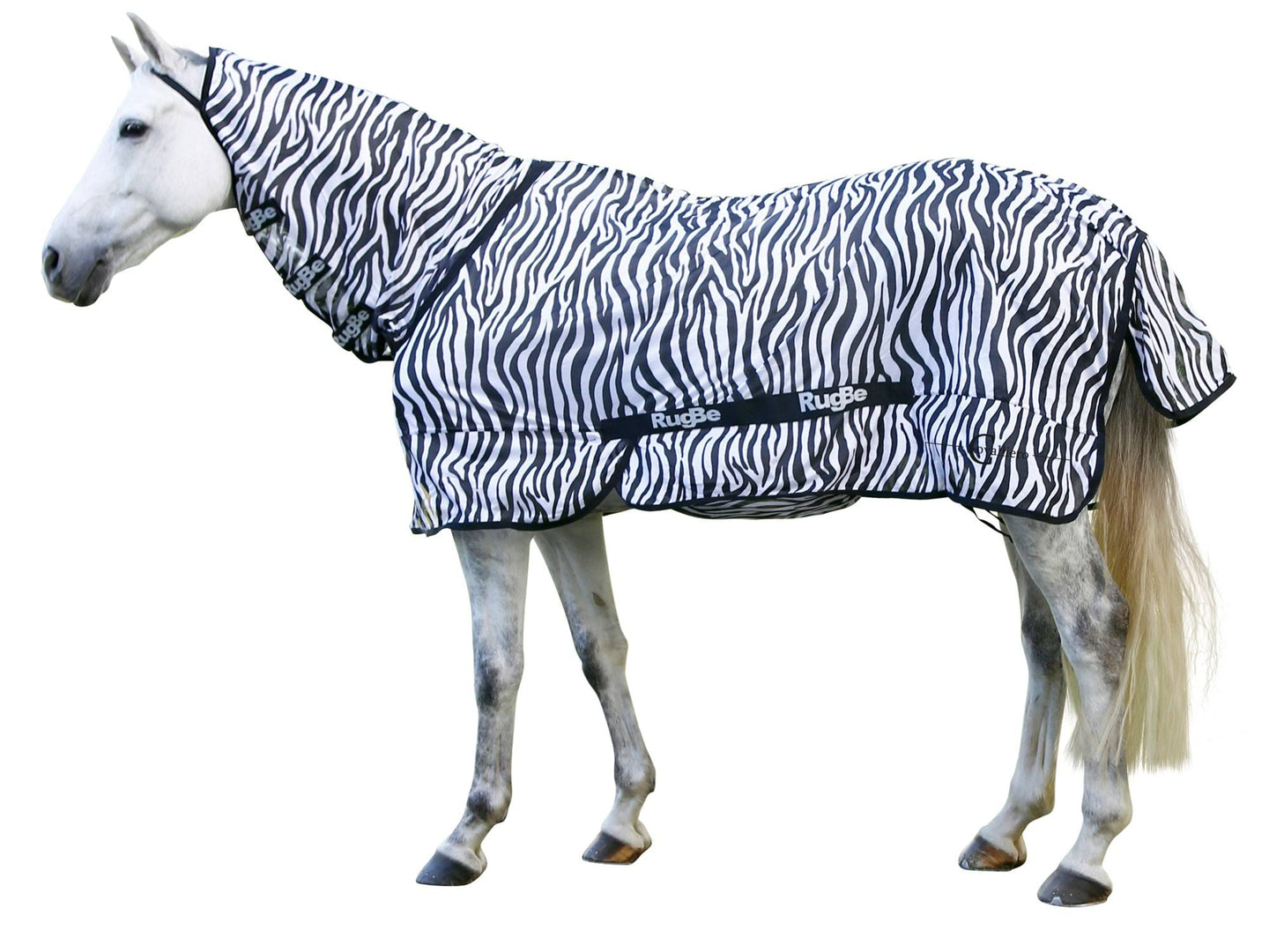 Putukatekk hobusele RugBe Zebra Covalliero