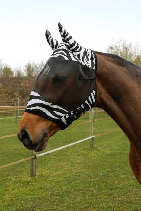 Putukamask Zebra