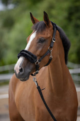 Päitsed ClassicSoft