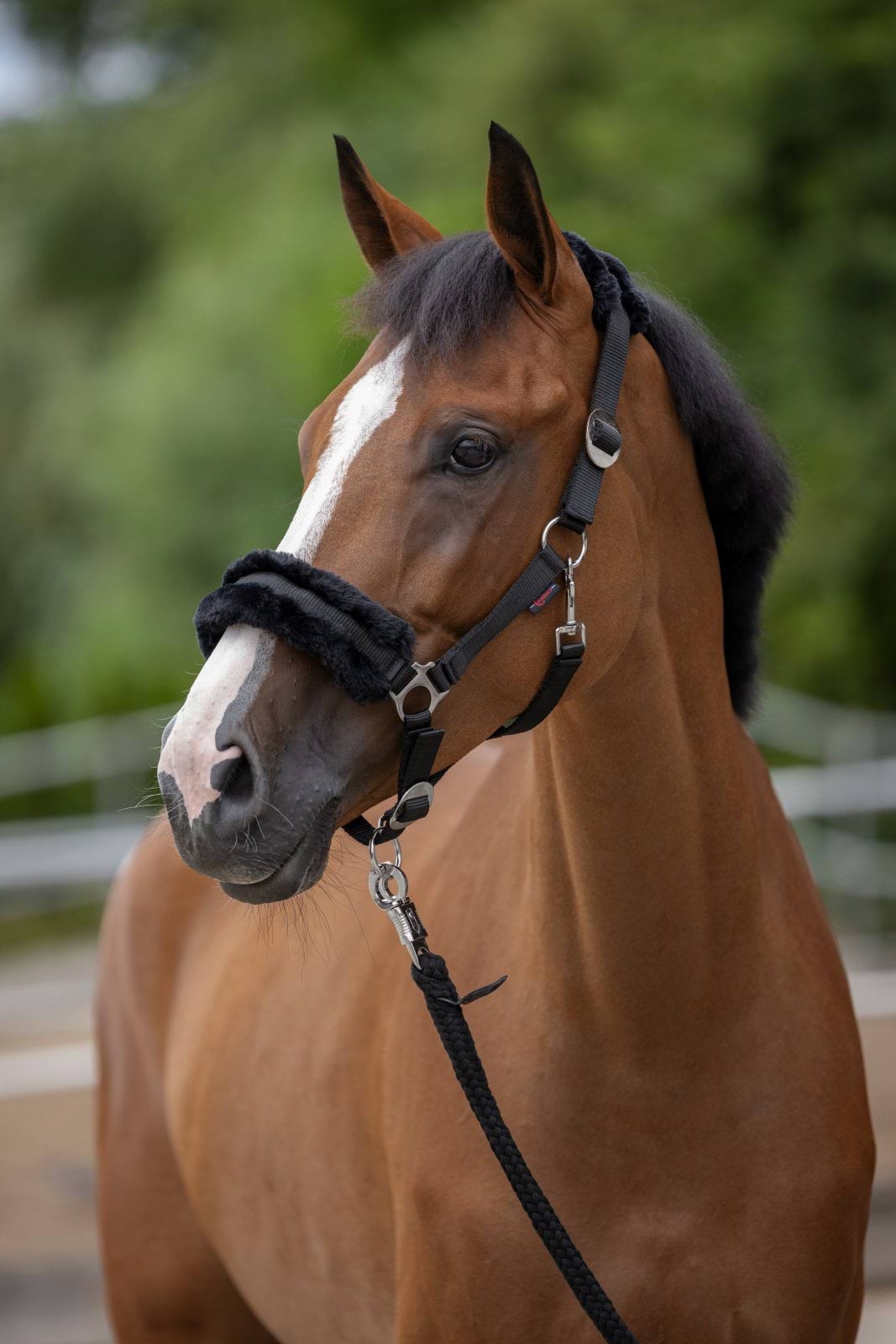 Päitsed ClassicSoft